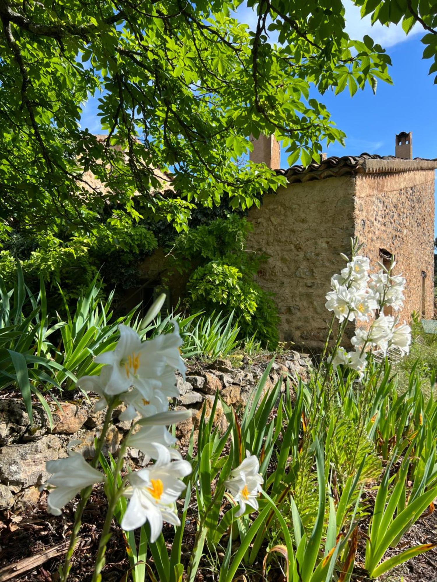 La Cabane De Babarot Aups Exteriér fotografie