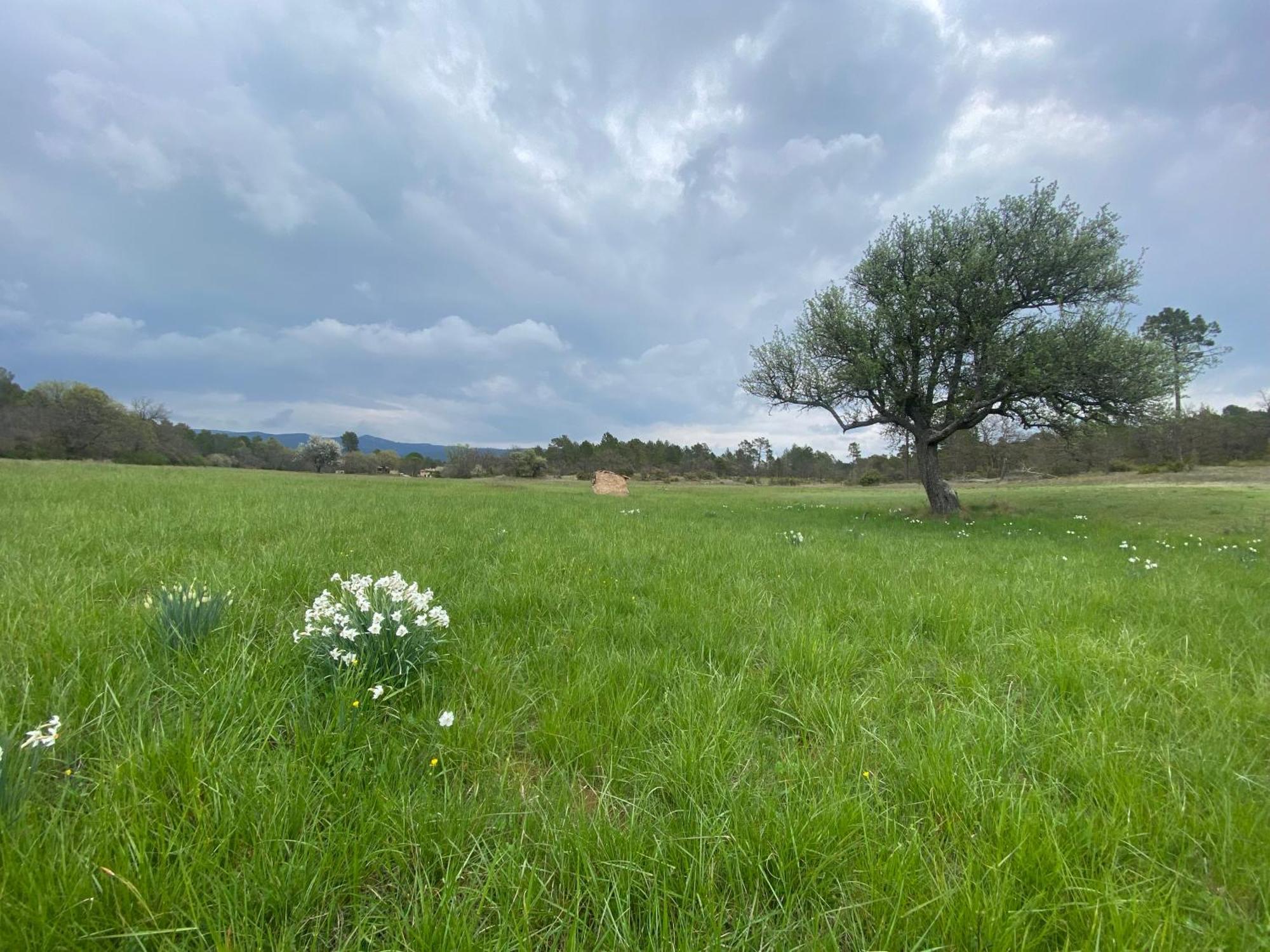 La Cabane De Babarot Aups Exteriér fotografie